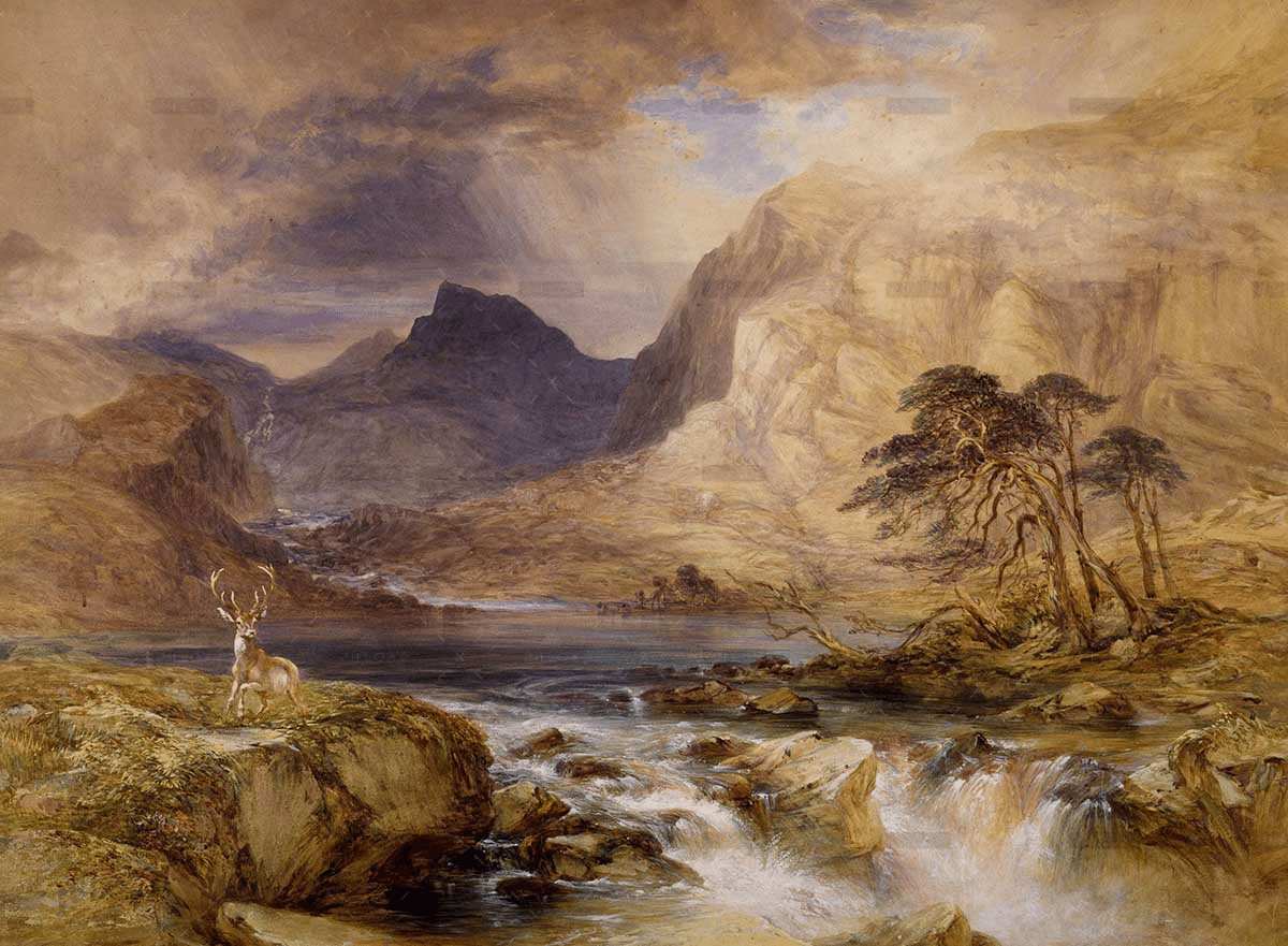 demo-attachment-1120-w-7-1